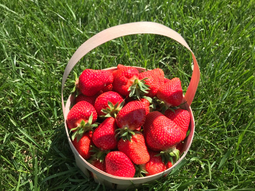 avatar for Дмитро   