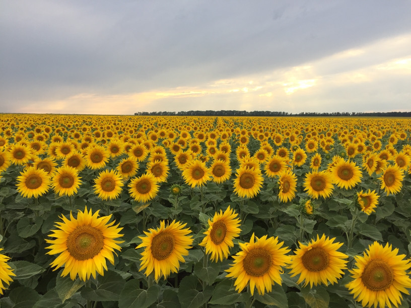 avatar for Олександр   