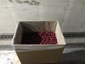 Продам морожену малину запаковану в картонні ящики з кульком по 10 кг