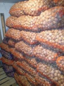 продам грецкий орех тонкошкуры вналичие 3 тонны доставка по всей Украи