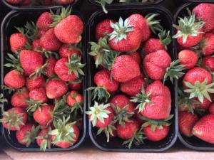 Ягода суниці і малини