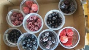 Смородина заморожена. Сертифікована продукція Global GAP