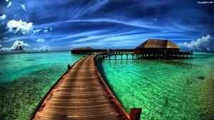 Картопля фермерська