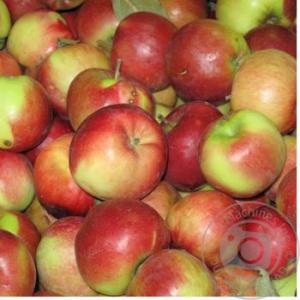 Яблоки украинские