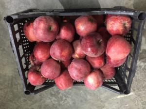 Продам дуже смачні ЯБЛУЧКА